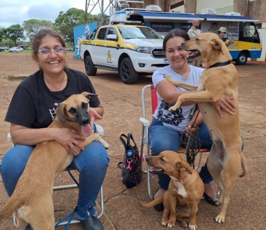 ELDORADO: Caravana da Castração inicia os trabalhos de 2026 amanhã
