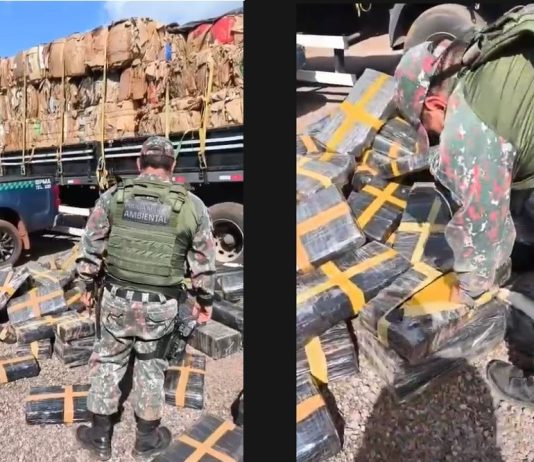 PMA de Mundo Novo apreende mais de 1,7 tonelada de maconha