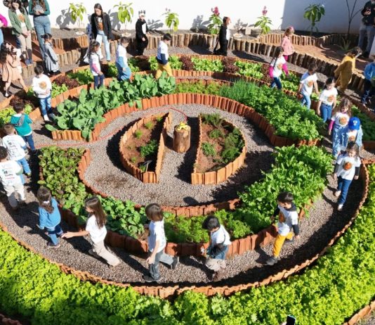 ITAQUIRAÍ: Projeto “Sabores que Educam” conquista reconhecimento nacional