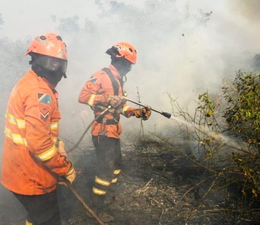 INCÊNDIOS NO PANTANAL: MS reforça planejamento contra o fogo e mobiliza Bombeiros no combate a focos