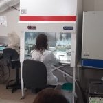 LABORATORIO-00-1536×708