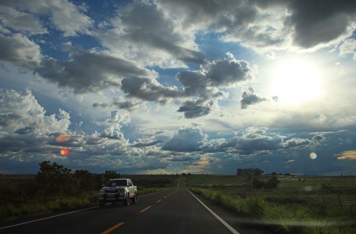 MS-436-Foto-Alvaro-Rezende-4-730x480
