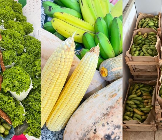 ITAQUIRAÍ: Assistência Social entrega cerca de 7 t de alimentos do PAA no início de 2026