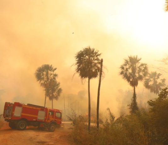 El Niño eleva risco de fogo no Pantanal; MS assegura resposta estratégica com bases avançadas, aeronaves e tecnologia