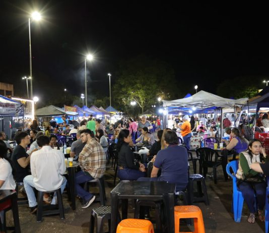 DOURADOS: Parque dos Ipês terá “Feira Sabores” com música e variedades amanhã
