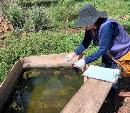 Morre a quarta pessoa por chikungunya em Dourados; doença avança, alerta a Saúde