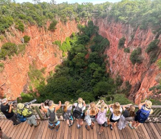 BIODIVERSIDADE ÚNICA: turismo, conservação no Pantanal e Bonito atraem olhares do mundo todo