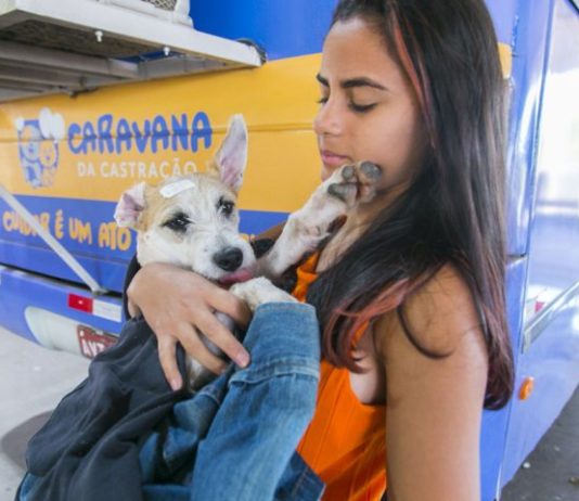 MS castrou 20 mil animais e tem 1.700 vagas para castrações em Campo Grande