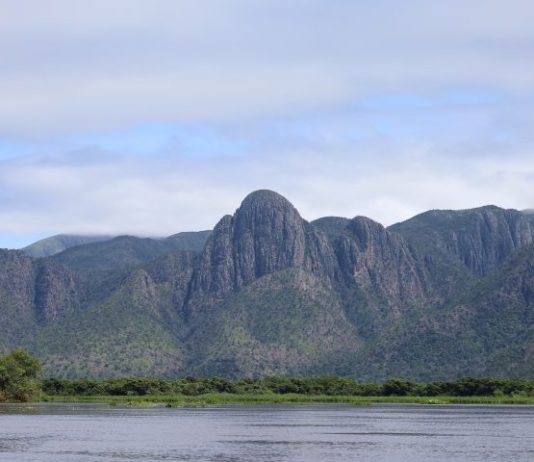 Para preservar o Pantanal, PSA Brigadas destinou mais de R$ 6,1 milhões para diferentes projetos sustentáveis