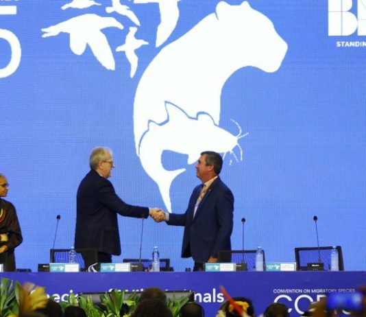 PANTANAL NO CENTRO DO MUNDO: COP15 começa com protagonismo de MS e mobilização global pela biodiversidade
