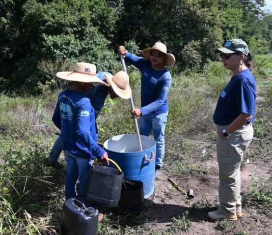 BONITO: Projeto fortalece recuperação ambiental em ação conjunta ao Governo de MS
