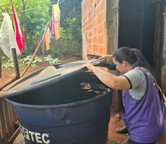 DOURADOS: Mutirão contra chikungunya encontra 171 focos do mosquito no 1º dia de ação nas aldeias