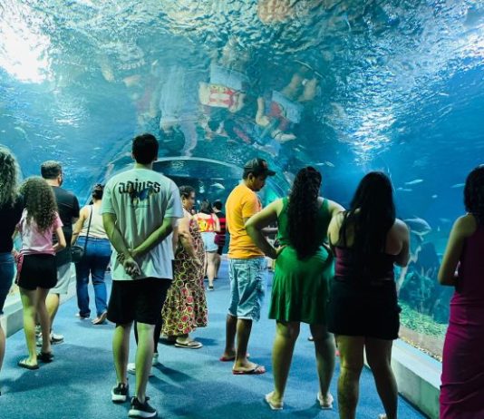 Bioparque Pantanal celebra quatro anos colocando Mato Grosso do Sul em destaque internacional