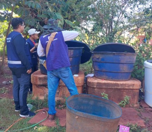 Para frear a chikungunya: Governo de MS abre leitos, articula vacina e atua em territórios indígenas