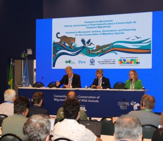 DIA DO PANTANAL: financiamento de políticas ambientais é tema em debate no 2º dia da COP15