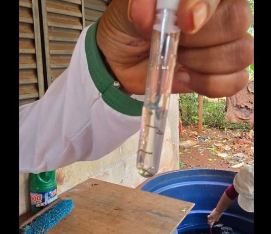 DOURADOS bate de porta em porta na guerra contra chikungunya