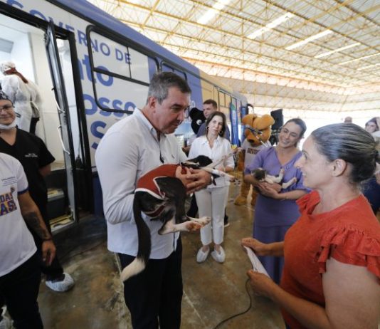 Caravana da Castração atende 20 mil animais em 63 municípios do Estado