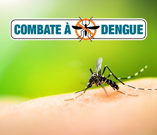 JAPORÃ zera casos de dengue com trabalho intenso e parceria fundamental dos moradores