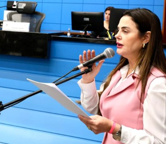 Mara Caseiro propõe redutor de velocidade na BR-163 em São Gabriel d´Oeste
