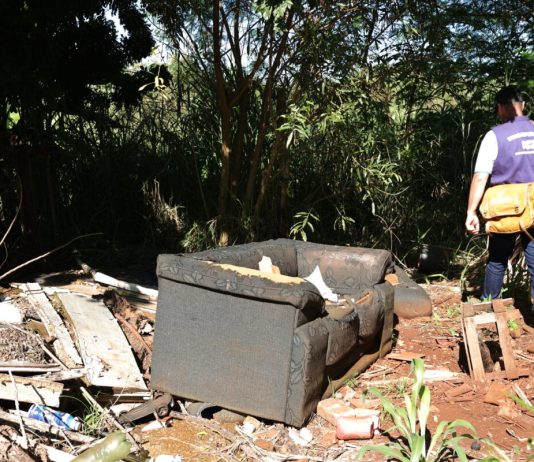 CHIKUNGUNYA: Dourados registra 5 mortes, quase 4 mil notificações e alta taxa de contágio