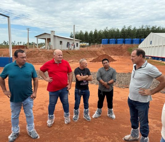 Japorã amplia a produção de frangos com a construção de 16 novos aviários