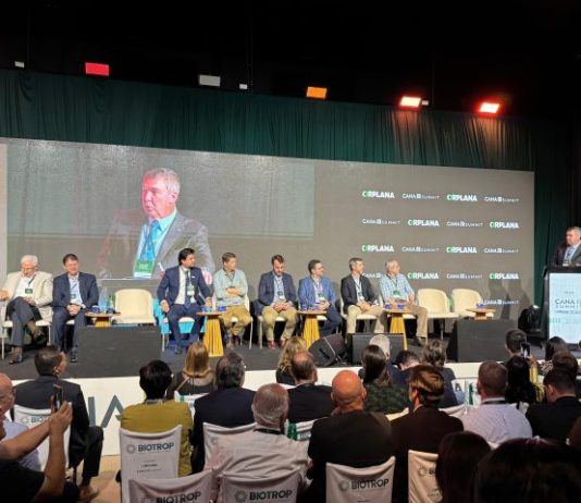 Riedel destaca força do setor sucroenergético e papel estratégico de MS no Cana Summit