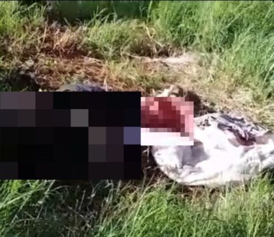 FRONTEIRA: homem é assassinado com pés e mãos amarrados; polícia investiga ação de ‘justiceiros’