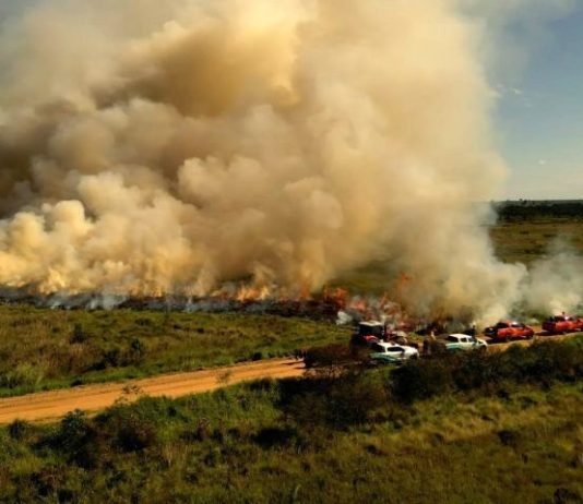 Para conservar e proteger biomas, Governo de MS realiza técnica de queima prescrita em parque estadual