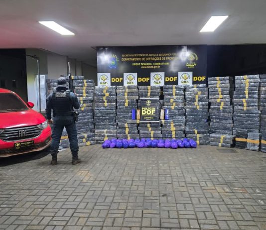 SETE QUEDAS: mais de 2,6 t de drogas apreendidas e veículos roubados recuperados pelo DOF