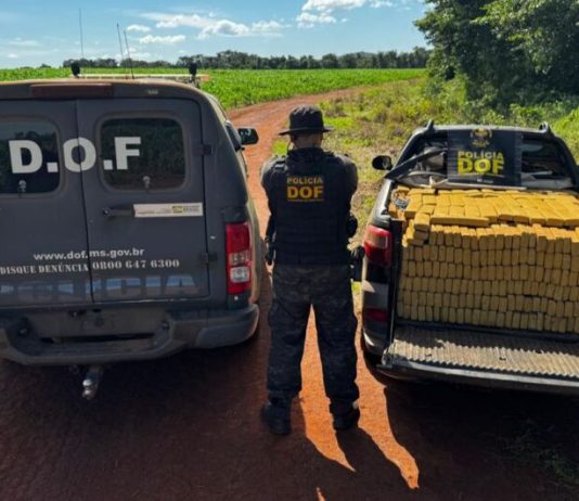 Quase uma 1 tonelada de maconha é encontrada em pickup abandonada
