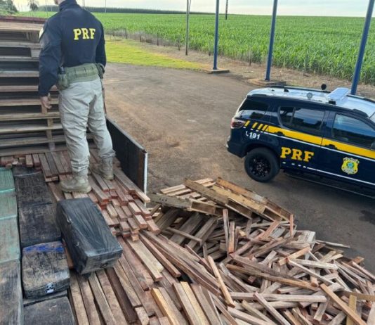 PRF apreende1,19 tonelada de maconha escondida em carreta no meio de pallets