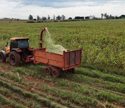 ITAQUIRAÍ: Prefeitura apoia pequenos produtores e auxilia na produção de silagem auxilia