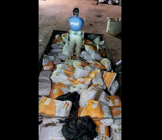 PRF apreende 4 toneladas de maconha em Ponta Porã (MS)