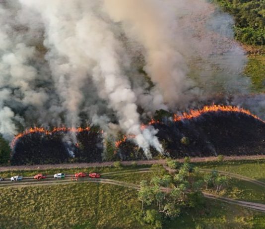 Imasul e Corpo de Bombeiros reforçam prevenção a incêndios com manejo integrado do fogo no Pantanal