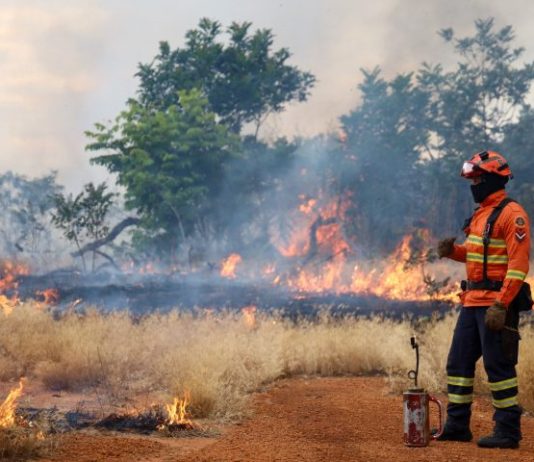 Bombeiros de MS: temporada de incêndios florestais tem treinamentos e ações em campo
