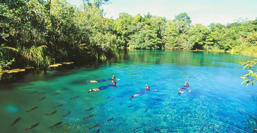 rio-formoso2-1024x529