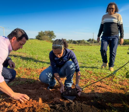Naviraí inicia 22ª Semana do Meio Ambiente unindo debates a ações práticas