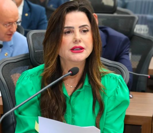Mara Caseiro pede retirada de quebra-molas provisórios da MS-320 em Paraíso das Águas