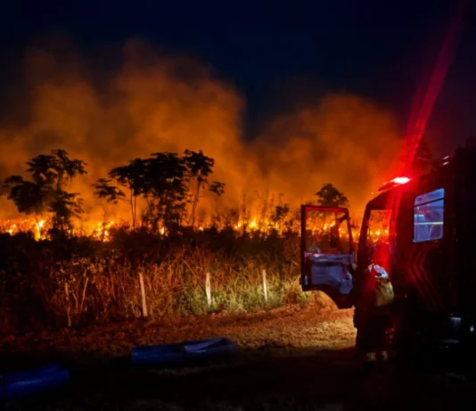 BELA VISTA: Incêndio queima área equivalente a 129 campos de futebol
