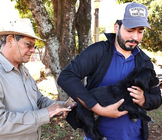 Prefeitura inicia vacinação antirrábica de animais sob cuidados de protetores em Dourados