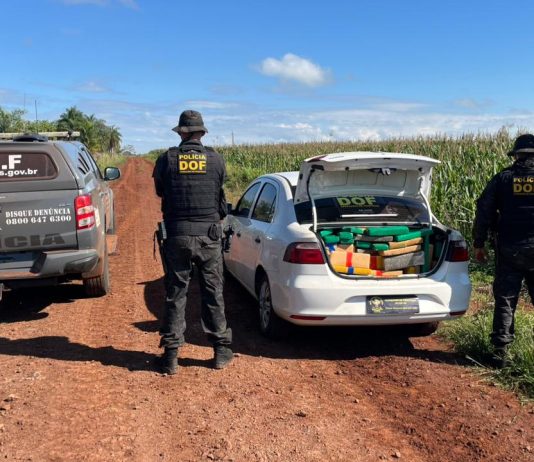 DOF apreende mais de uma tonelada de maconha em Ponta Porã