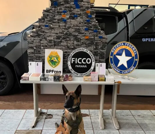 Fundo falso em caminhão escondia carga milionária com centenas de iPhones no Paraná