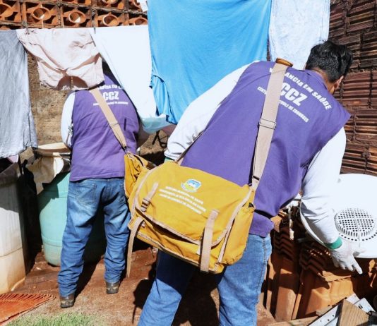 DOURADOS confirma 19 focos do Aedes aegypti após vistoria de 7.231 imóveis