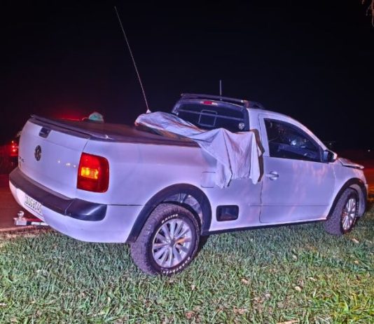 Homem morre atropelado em rodovia junto com cachorro de estimação