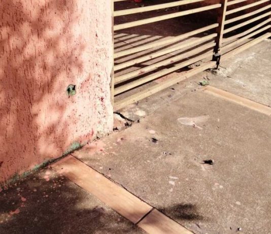 Homem é assassinado no portão da casa da ex; atual companheiro dela é o suspeito