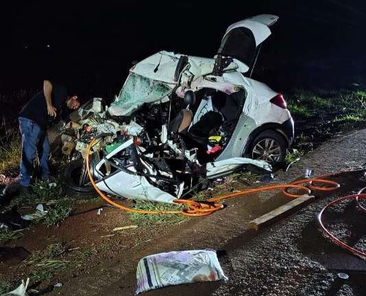 Carro bate em anta e caminhão, motorista e adolescente morrem na hora