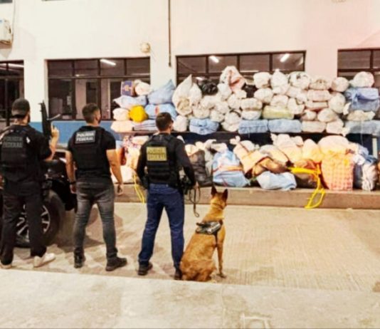 PF apreende mais de uma tonelada de drogas e prende três pessoas