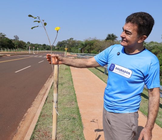 DIA DA ÁRVORE: Prefeito planta muda na Avenida dos Ipês, que também recebe espécies frutíferas