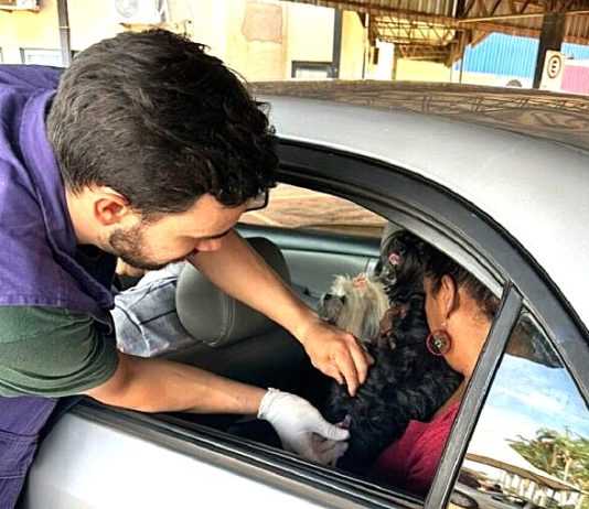 DOURADOS: Prefeitura realizará drive-thru de vacinação antirrábica no dia 12 de setembro