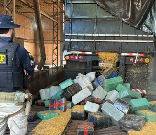 Carreta parada em rodovia chama atenção e polícia apreende mais de 5t de maconha
